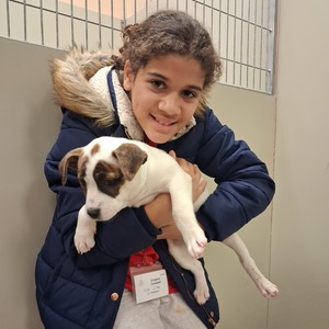 Fundraising Page: Amy Corbin